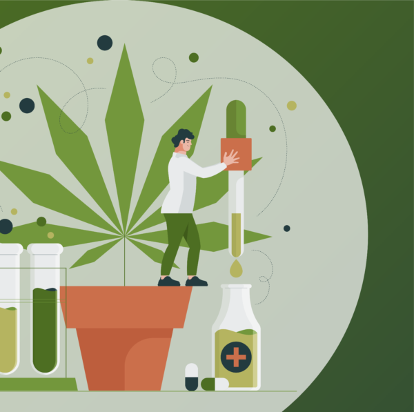 Cannabis als Arzneimittel Webinar CBD