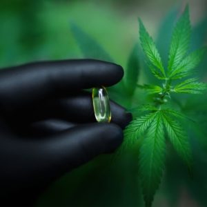 Webinar: Update Cannabis-Legalisierung