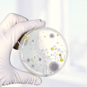 e-Learning: Basiswissen Mikrobiologie